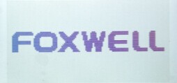 foxwell-bt100-language